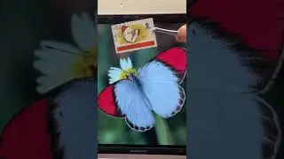 Stamp of the day - Butterfly - 1992 Swaziland 🇸🇿 #philately #stamps
