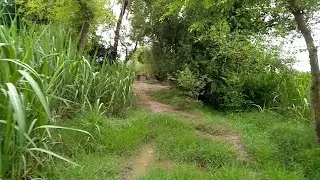 A place is horror_Natural life in rural Pakistan