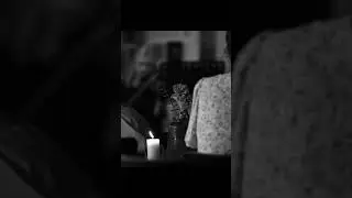 Волшебная атмосфера нашего концерта-лекции в Ростове #искусство #violin #piano #кино