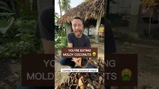You’re eating MOLDY COCONUTS 🤮 Here’s how refined coconut oil is really made #coconutoil