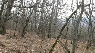 Выходы в горы на поиски