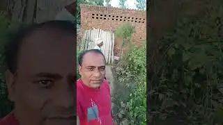 Aaj Nursery Se Paudhe Lekar Aaye #minivlogs #villagevlogs  #dailyminivlogs #palfamilyvlogs