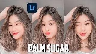 Lightroom Tutorial Palm Sugar | Lightroom Mobile Preset | Lightroom - Tutorial