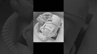 Among Us in 3D 