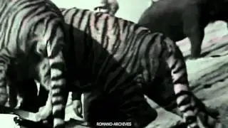1967 AMC Wagons Noah's Ark TV Ad (HD)