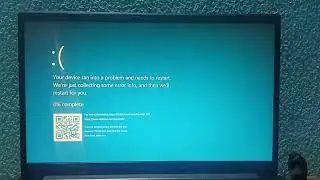 Car Logos Do Drugs has BSOD 