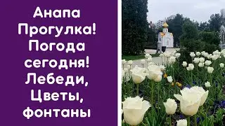 Анапа сегодня! Прогулка по Анапе. Живой концерт. Лебеди. Фонтаны