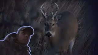 The Future is Bright! | Hang and Hunt, Close-Range Encounter