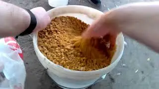 В жару за лещом  Ловим на Москва реке