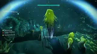 Secret Plants & Flora Locations Week 1 (Twilight Plant & Twilight Flora) - Destiny 2