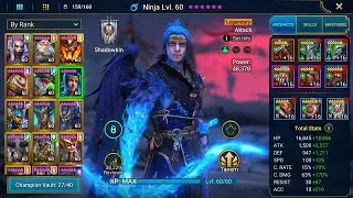 Raid Ninja Review test postaci