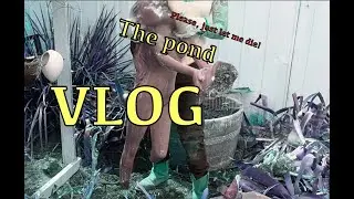 VLOG week 45 | THE POND and other garden makeovers