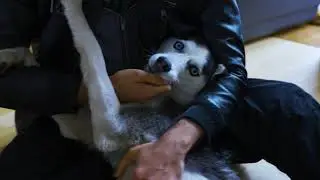 Best friends new Best friend