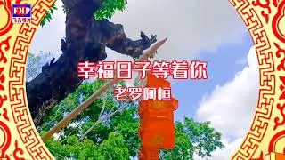 幸福日子等着你 (贺岁歌曲) - 老罗 (Official Video)