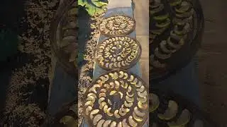 🍏СУШИМО ЯБЛУКА НА СОНЦІ