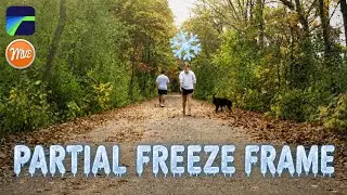 Partial Freeze Frame - LumaFusion (not a Tutorial)