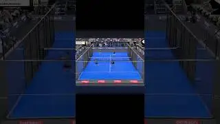 Even Bela was shocked #padel #sports #padelhighlights #highlights