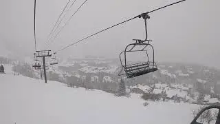 Powder and Trees? What Else Can You Ask For? | Deer Valley