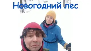 Новогодний лес и проверка настроения