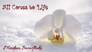All Comes to Life by Madam Snowflake (Official Lyric Vid)