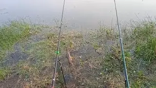Рыбалка на пруду 