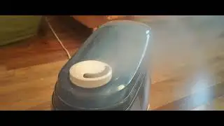 Сезон увлажнителей открыт