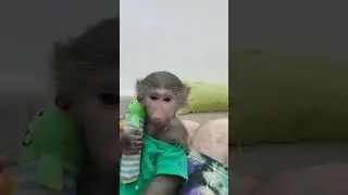 Разговоры перед сном , Никуша беседует с папой Валерой!🙂