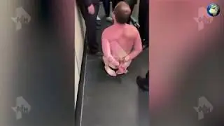 Голый пассажир прорвался к трапу самолета в Домодедово