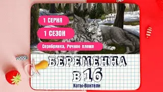 БЕРЕМЕННА В 16 НО ЭТО КОТЫ-ВОИТЕЛИ