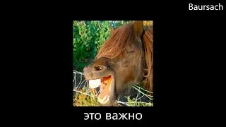 weirdjams вокодера [WeirdJams!]