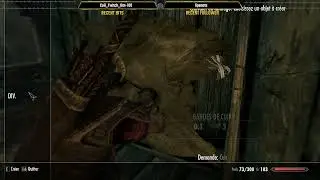 SKYRIM // ON COMMENCE UNE BELLE  AVENTURE !! #1