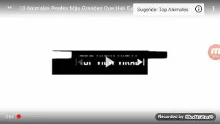Los animales que no creeras que excisten 1