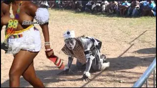 izithakathi zishaya olunye uhlobo lwengoma