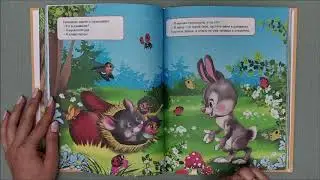 Рукавичка