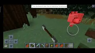 Minecraft But,  nature dogs