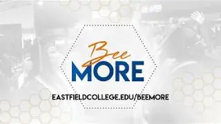 Bee More | Rachel Wolf