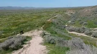 Traversing the San Andreas Fault Scarp At Wallace Creek