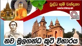 Dabadiwa Wandana 2022- Nawa Mulagandhakuti Vihara | නව මූලගන්ධකුටි විහාරය 🇮🇳 🇱🇰 ☸️