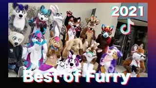 Furry Tik Tok #8