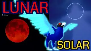 The Solar / Lunar Eclipse on Feather Family