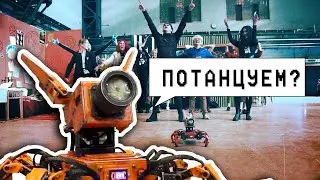 Тишка любит танцевать!