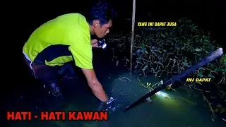 PERADABAN Ikan Bersembunyi Saat Malam