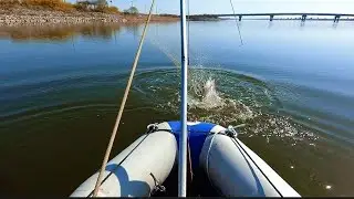Пол лодки рыбы. СОМ, КАРАСЬ, САЗАН, КЕФАЛЬ рыбалка на паук подъемник 