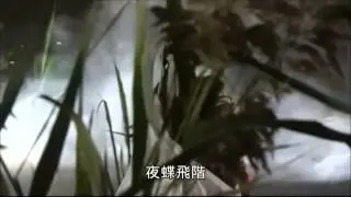 風逍遙與無情葬月最終一戰 - 飄散在風中的血