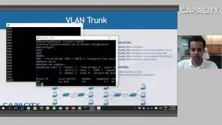 Vlan Trunks