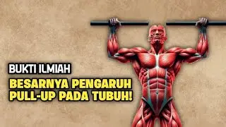 How Pull-Ups Can Change Your Body Like Crazy!