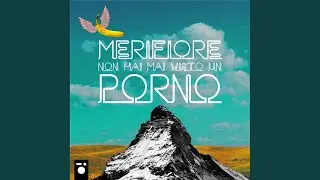 Non Hai Mai Visto Un Porno