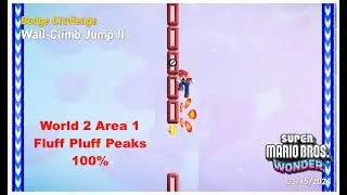 Mario Bros wonder world 2 area 1 100%