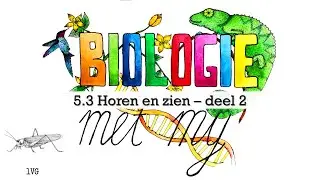 1VG - 5.3 Horen en zien deel 2