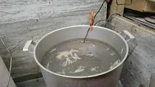 ШПАРЧАН для перепелов за копейки!!! Своими руками))